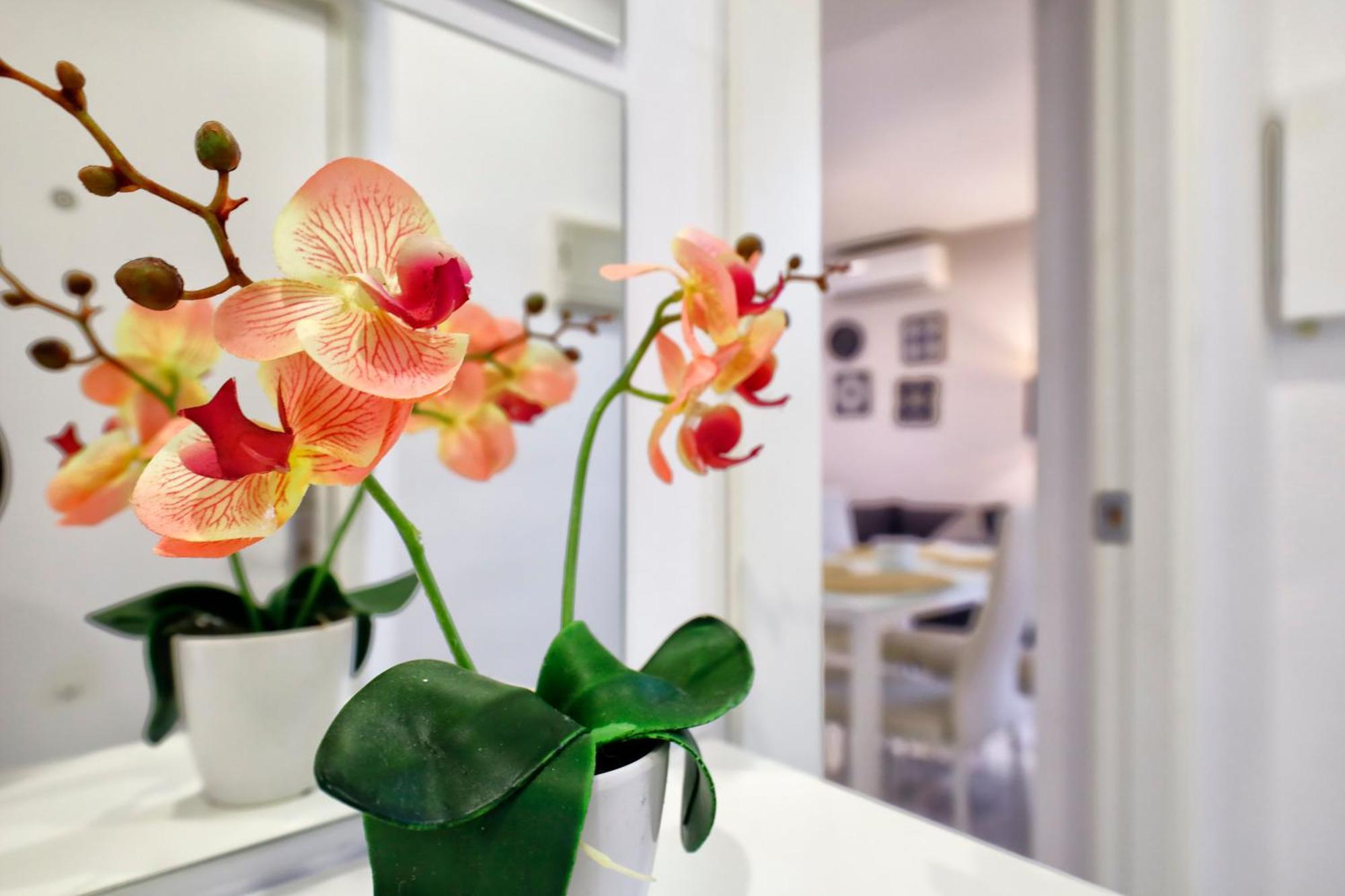 Encanto En La Juderia: Apartamento Con Patio กอร์โดบา ภายนอก รูปภาพ